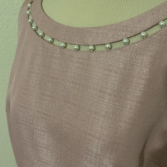 NWT Preston & York Elegant Pink Sleeveless Dress Size 12 Summer Wedding Lined - Picture 3 of 4